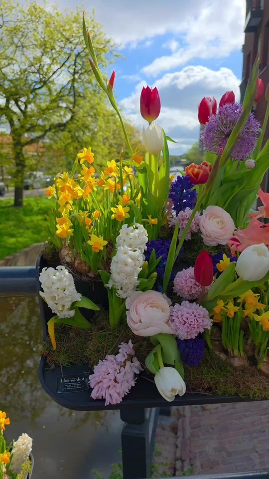 TikTok video thumbnail by hadildesign