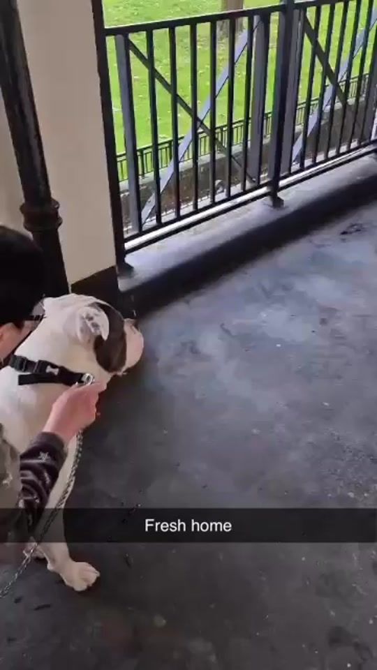 TikTok video thumbnail by nasimwilliams