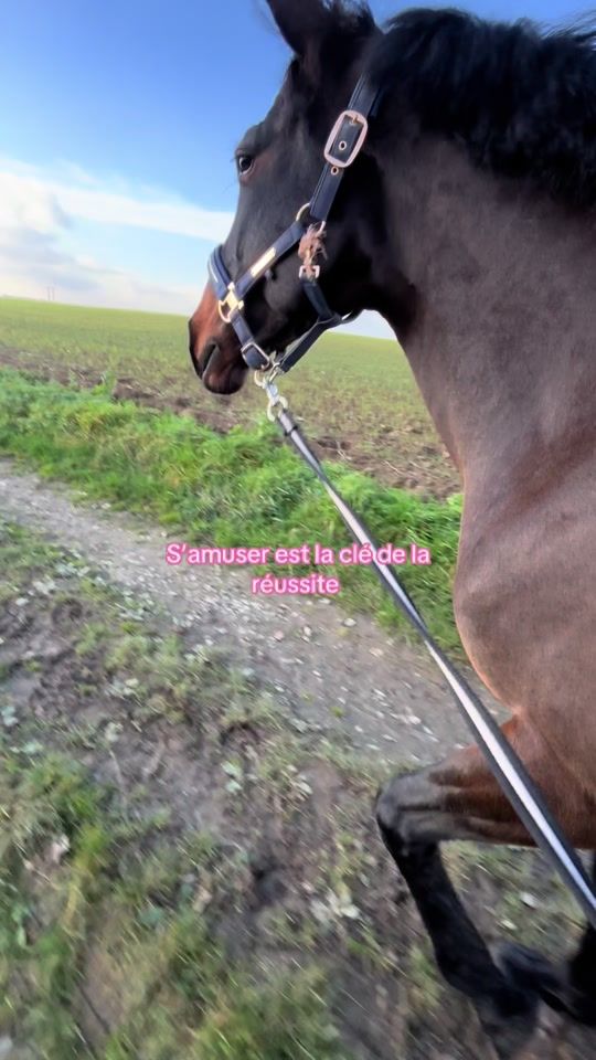 TikTok video thumbnail by bellouche.bella