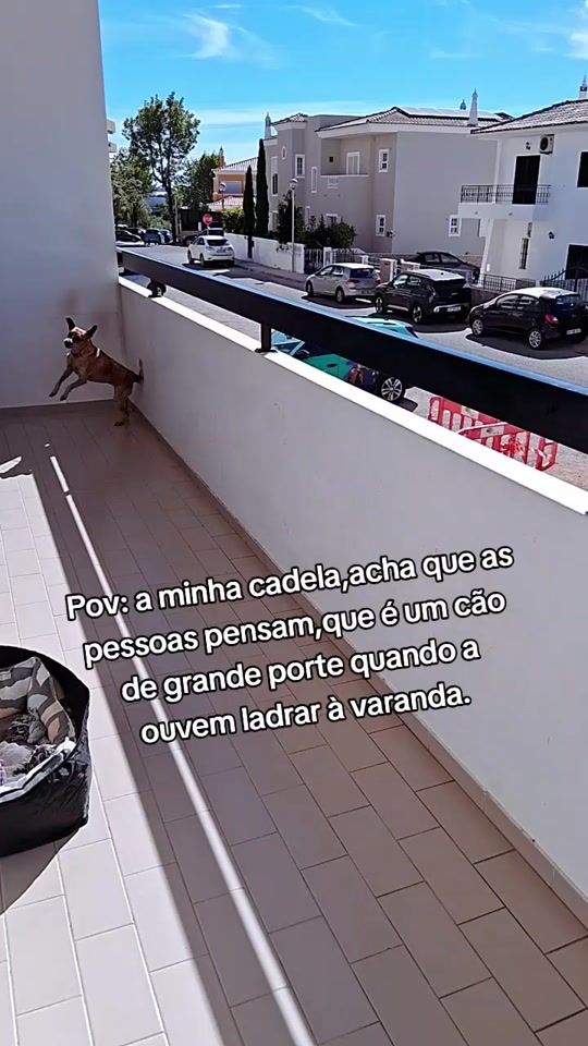 TikTok video thumbnail by catia_prates41