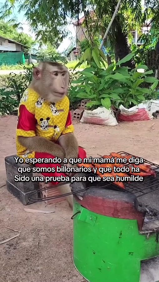 TikTok video thumbnail by joja_204