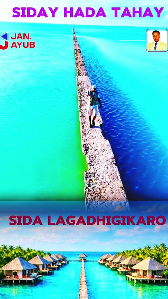 TikTok video thumbnail by ayub_abdirizak