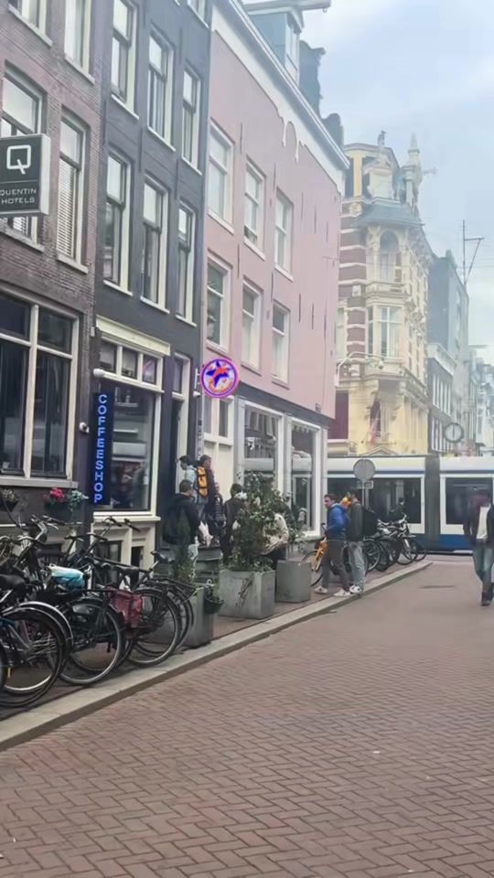 TikTok video thumbnail by thedolphinsamsterdam