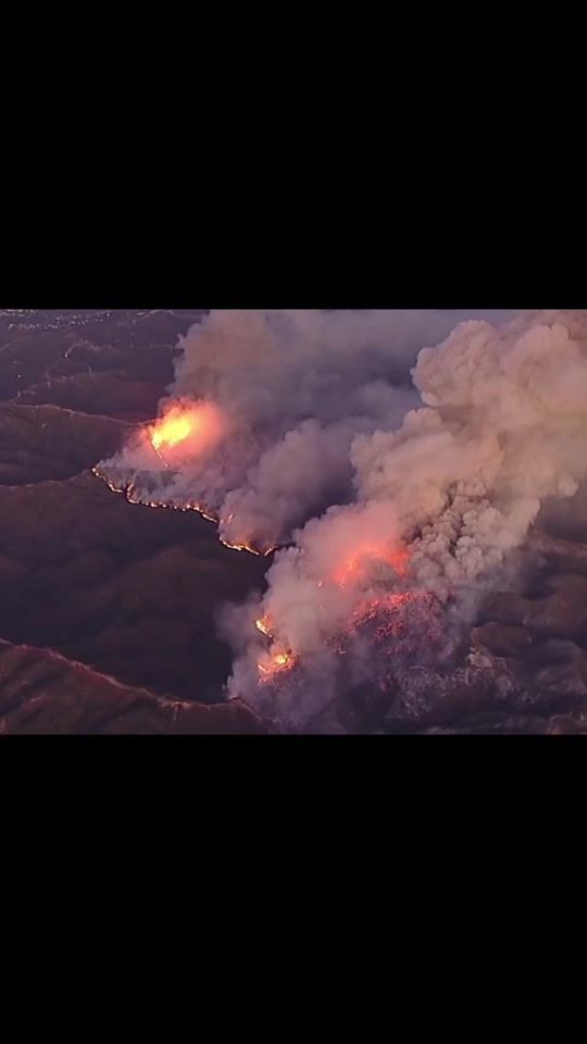 TikTok video thumbnail by trendtreasures11