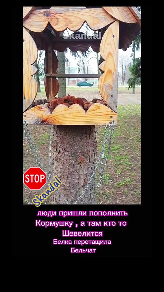 TikTok video thumbnail by skandal.24