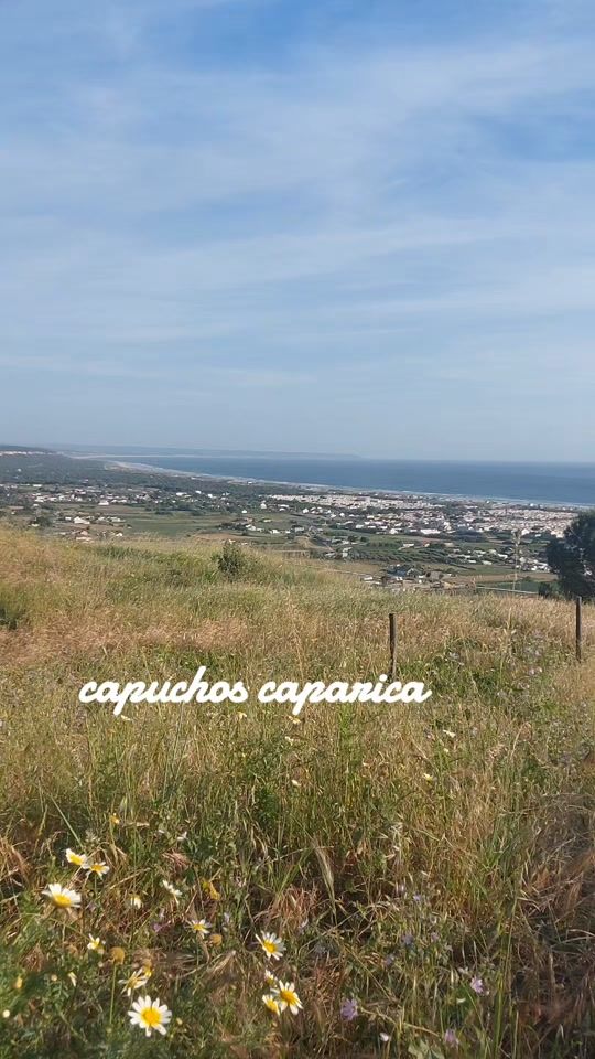 TikTok video thumbnail by arruda8904