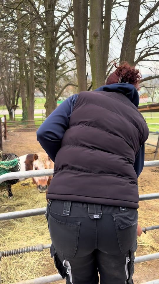 TikTok video thumbnail by hammannhof