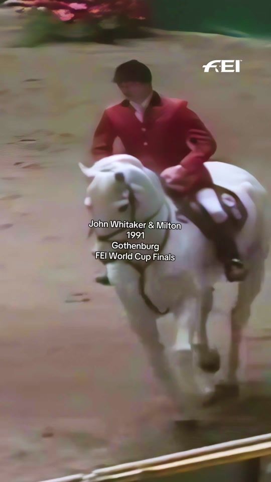 TikTok video thumbnail by fei_horse_world