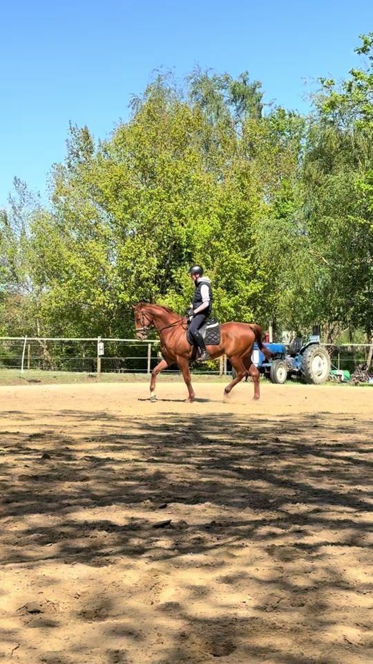 TikTok video thumbnail by equestrian.warre