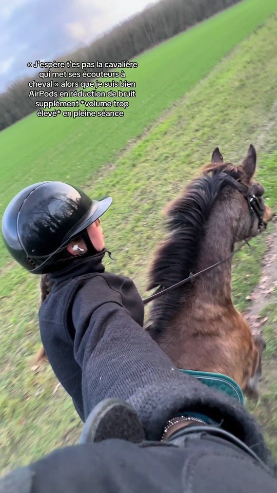 TikTok video thumbnail by quamargue_dc