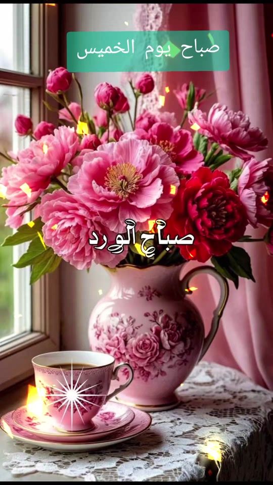 TikTok video thumbnail by salma614_