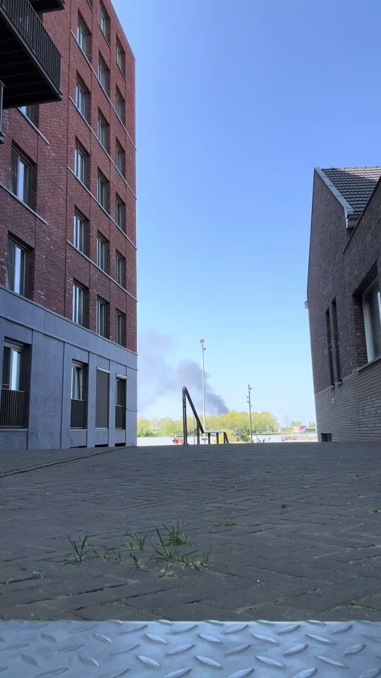 TikTok video thumbnail by kingdenyco