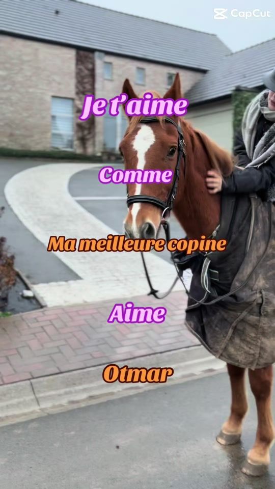 TikTok video thumbnail by mls.cchevaux