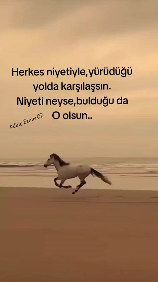 TikTok video thumbnail by kilinc.esmer.02