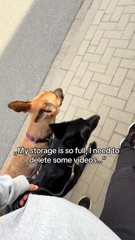 TikTok video thumbnail by working.pair