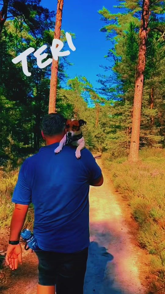TikTok video thumbnail by waldemaro73