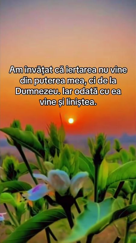 TikTok video thumbnail by citatedesuflet96