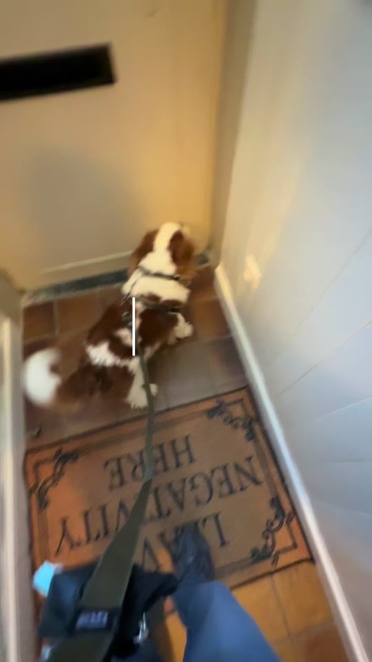 TikTok video thumbnail by _.maudi