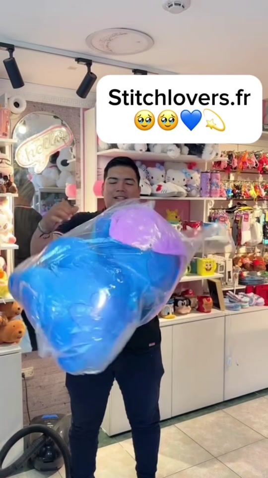 TikTok video thumbnail by stitchlovers.fr