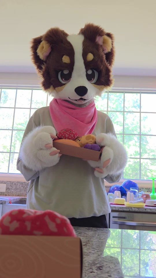 TikTok video thumbnail by kindridfox