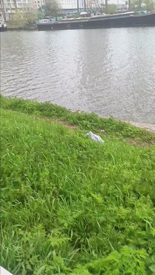 TikTok video thumbnail by user4pd1a0mheu