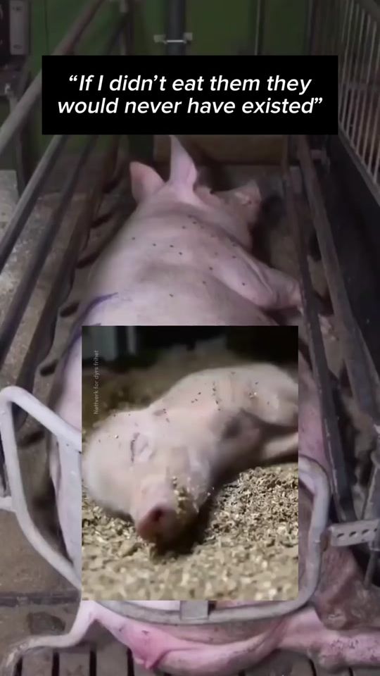 TikTok video thumbnail by vegan.f.t.a