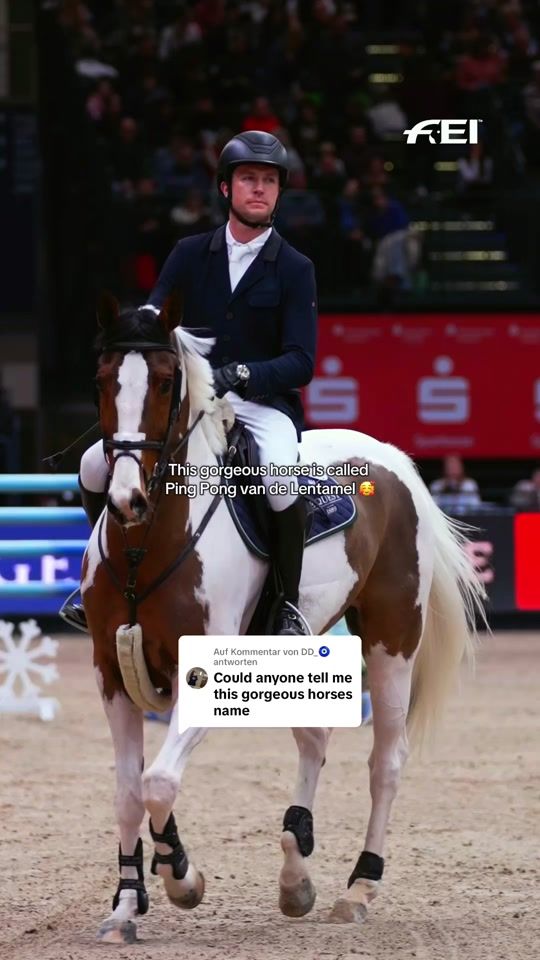 TikTok video thumbnail by fei_horse_world