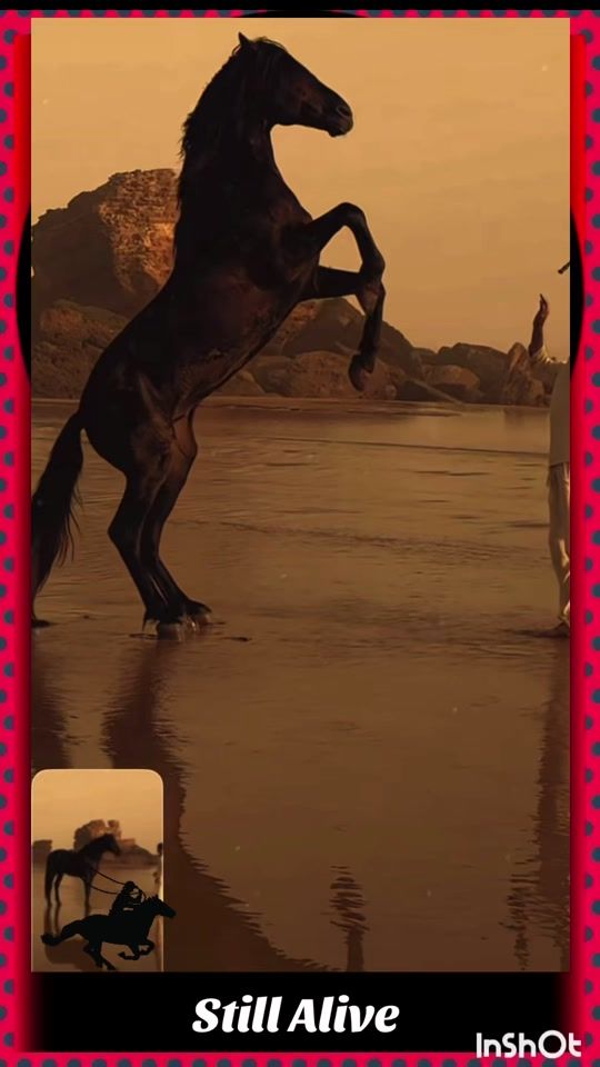 TikTok video thumbnail by stillalive117