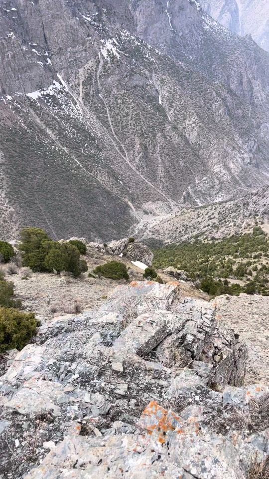 TikTok video thumbnail by user7203210201137