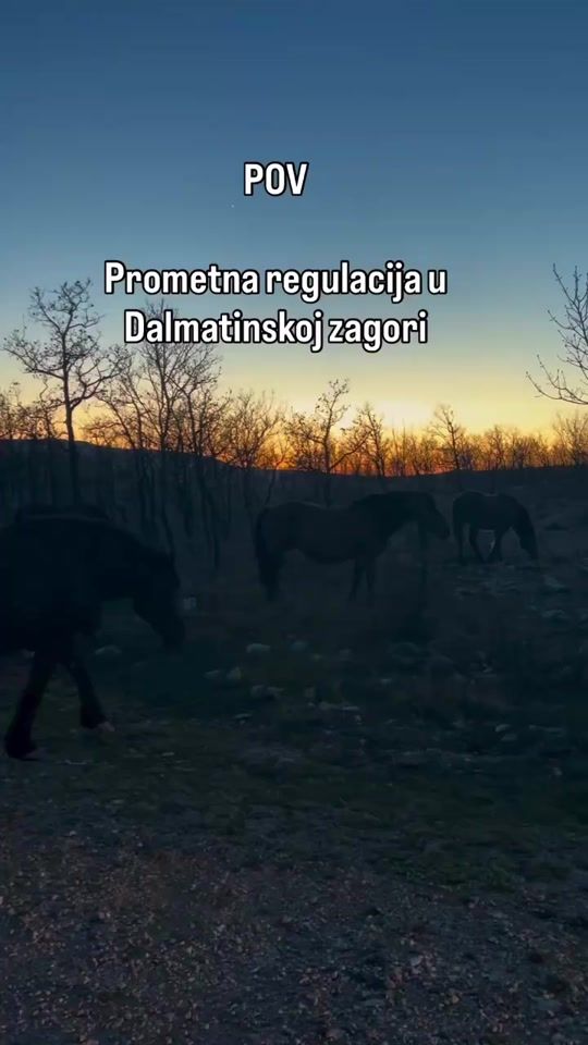 TikTok video thumbnail by barbaragrgich