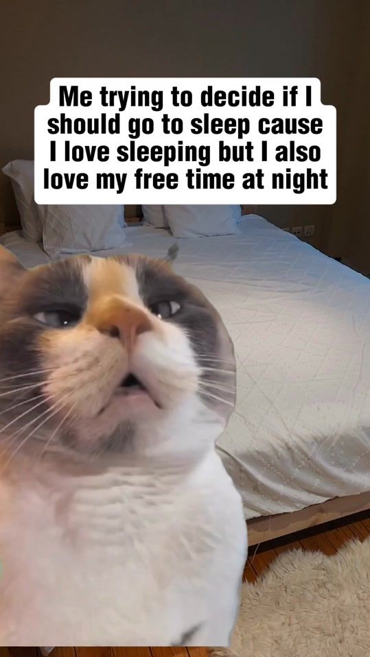 TikTok video thumbnail by stephaniedm0