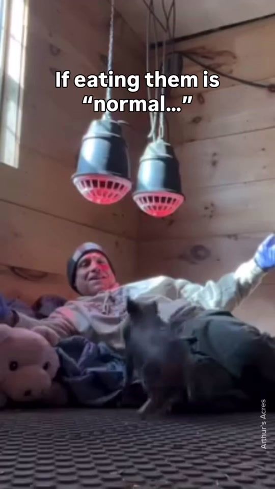 TikTok video thumbnail by vegan.f.t.a