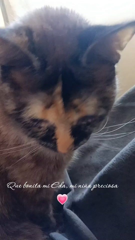 TikTok video thumbnail by chari.91