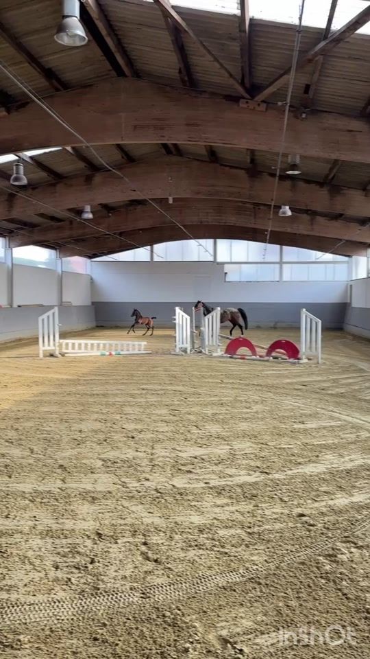 TikTok video thumbnail by equestrian.sophe
