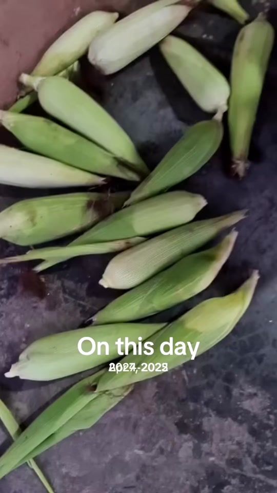 TikTok video thumbnail by bindusingh080