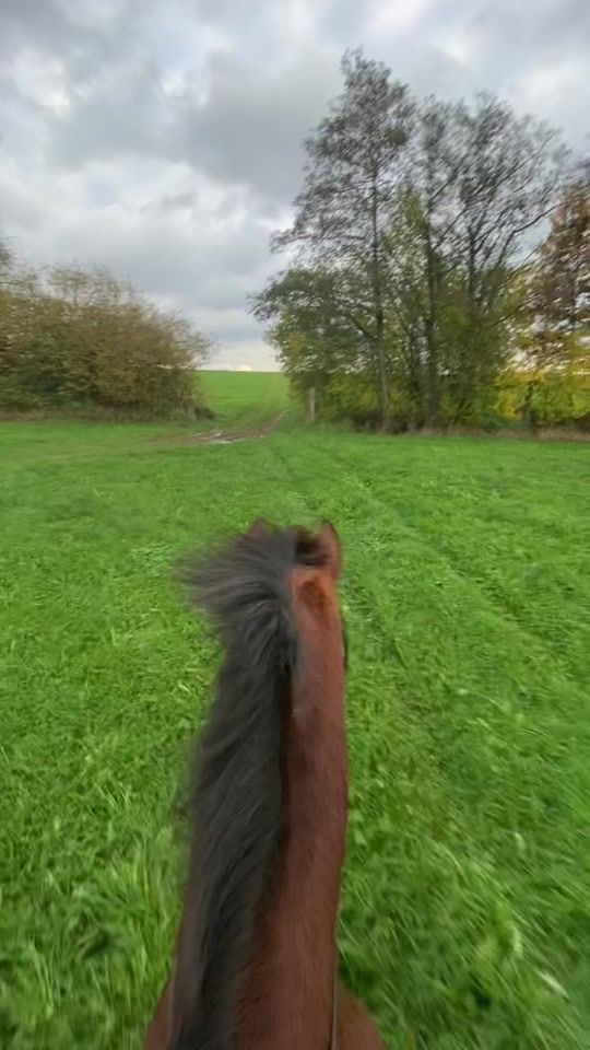 TikTok video thumbnail by lutzii5