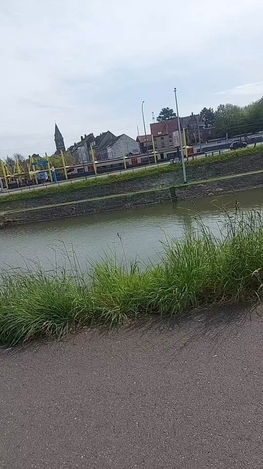 TikTok video thumbnail by 1010amira6