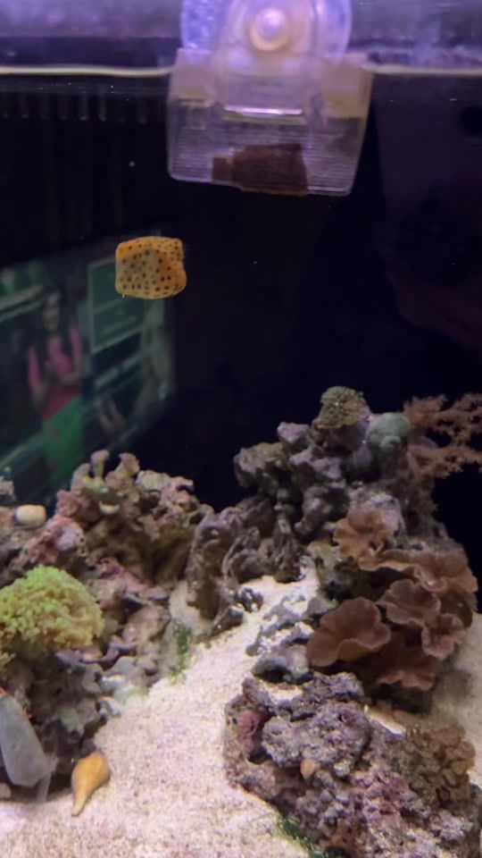 TikTok video thumbnail by amydoessomestuff