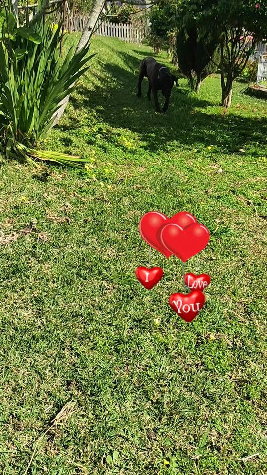 TikTok video thumbnail by somosfelizes6