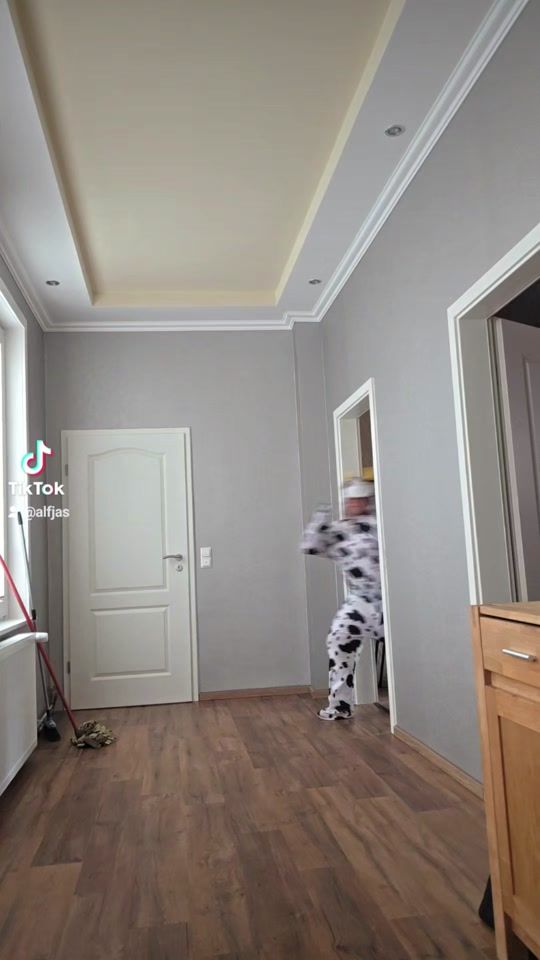TikTok video thumbnail by alfjas