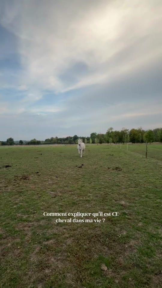 TikTok video thumbnail by gft.1909