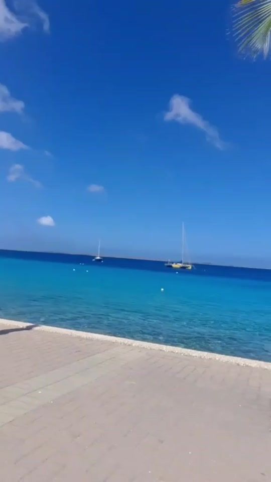 TikTok video thumbnail by evafrias1