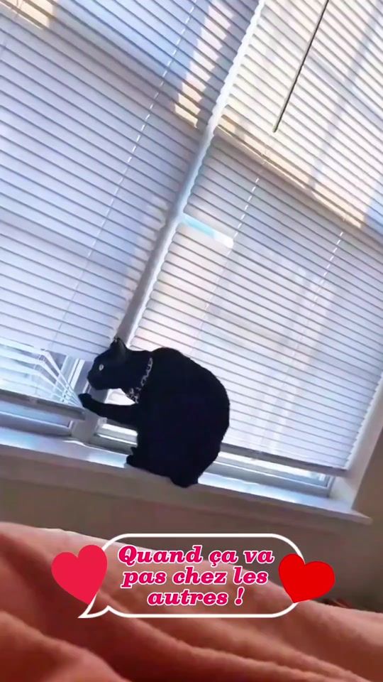 TikTok video thumbnail by koockykha