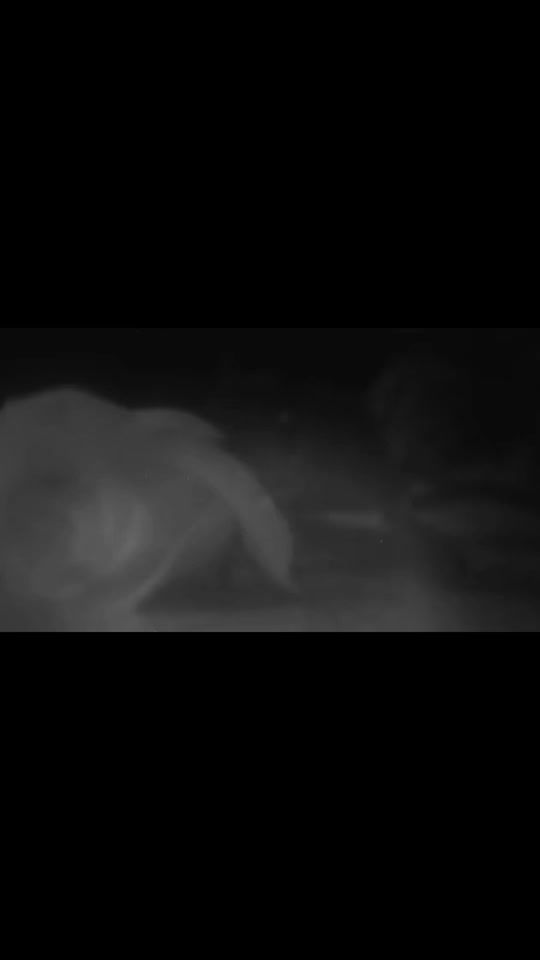 TikTok video thumbnail by 7a.modh