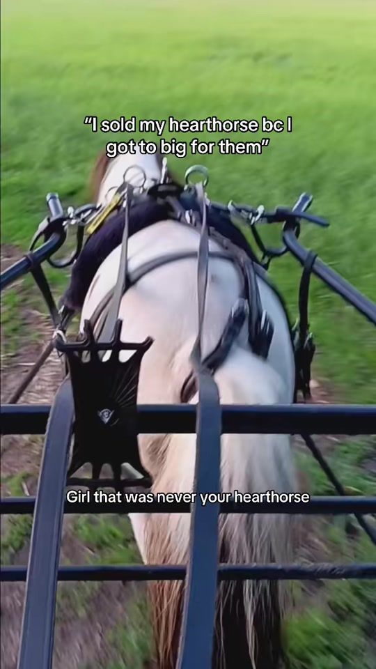 TikTok video thumbnail by deshettenbende