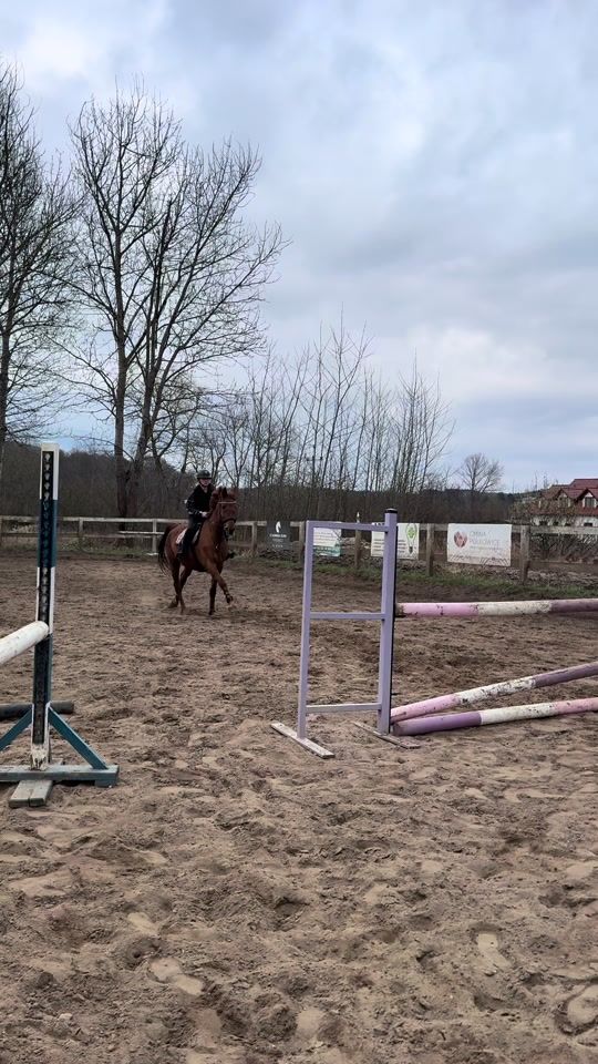 TikTok video thumbnail by drobna.equestrian
