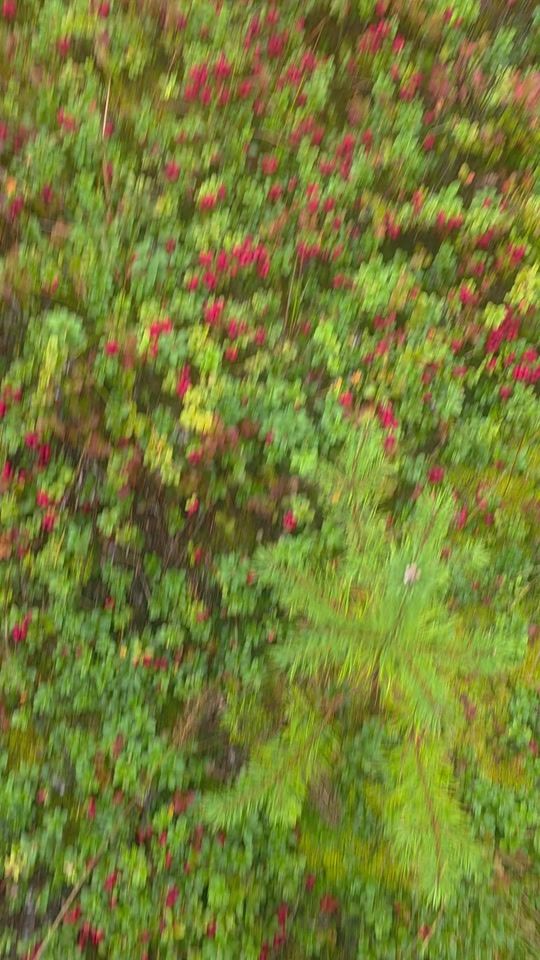 TikTok video thumbnail by bim1199_