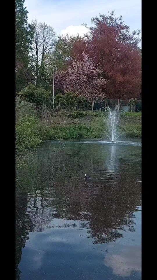 TikTok video thumbnail by 1010amira6