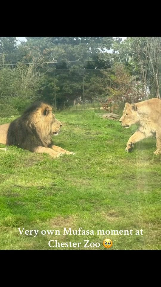 TikTok video thumbnail by ksfavourites