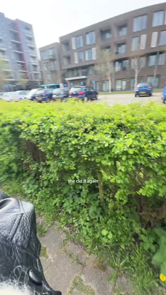 TikTok video thumbnail by bentheverdonk